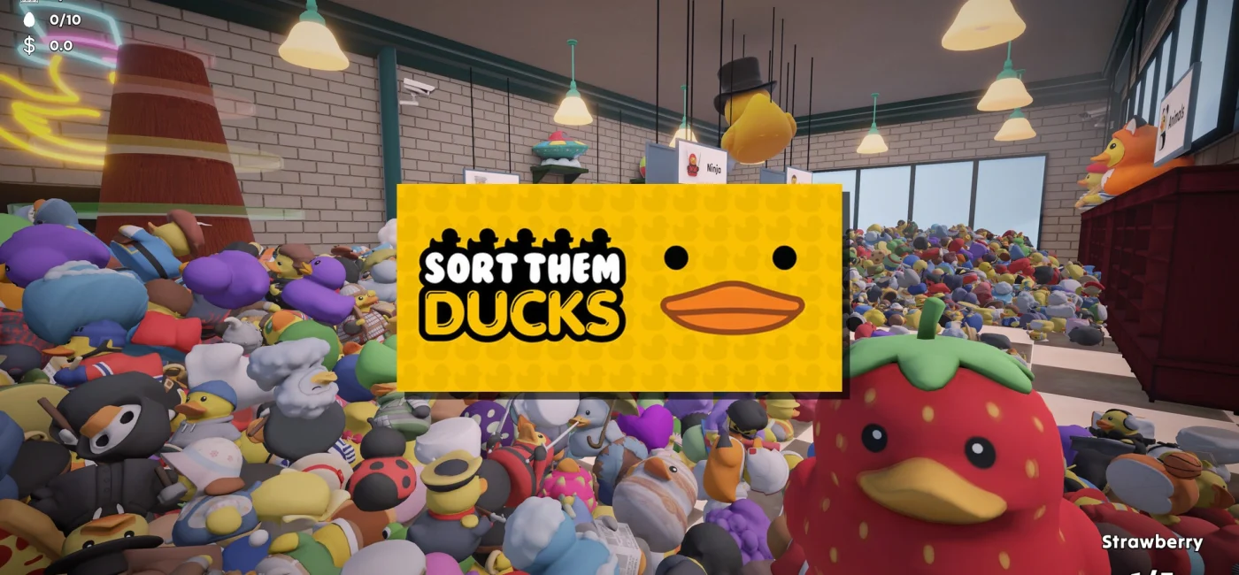 Illustration de Sort Them Ducks montrant une boutique colorée avec des canards en caoutchouc organisés par catégories.
